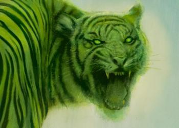 robert hunt, tiger, book cover, illustration